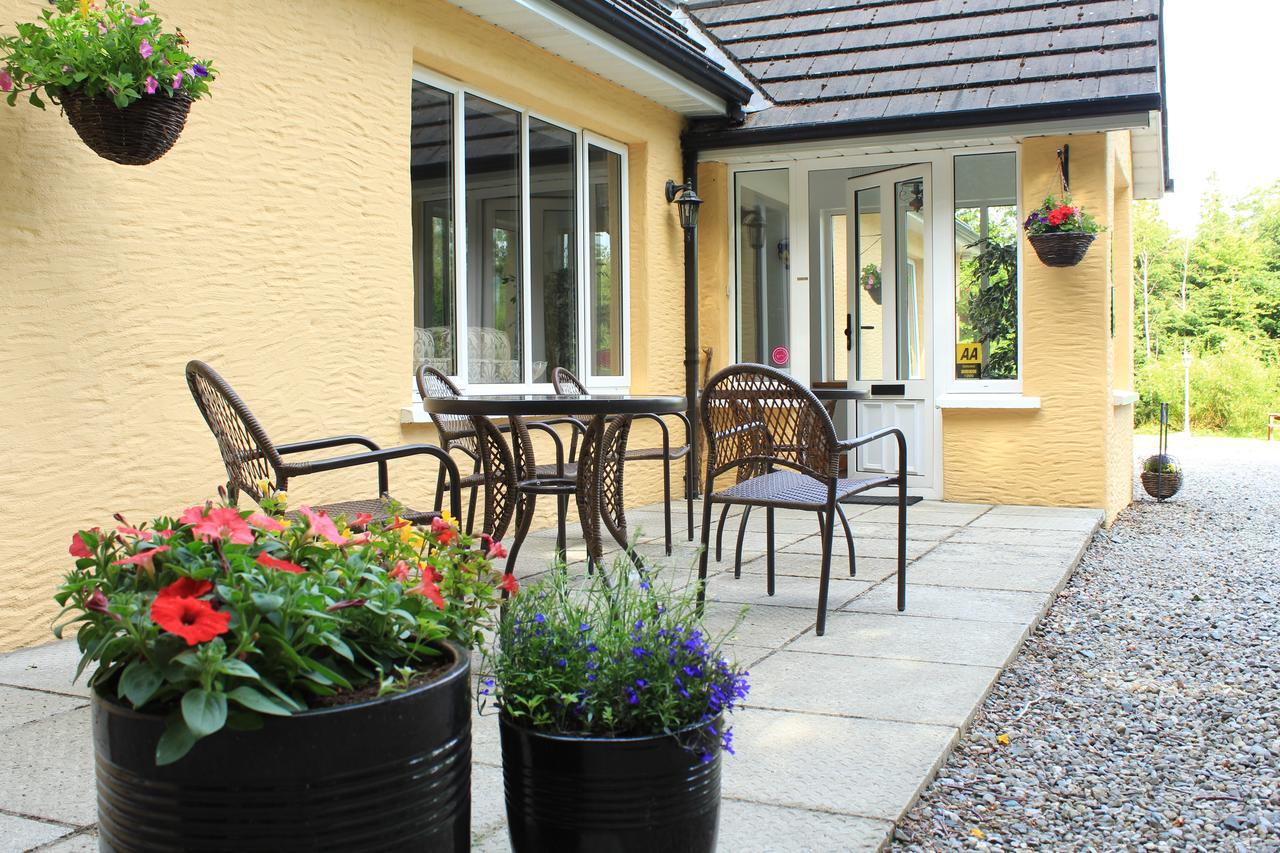 Pinewood Lodge Laragh Bagian luar foto