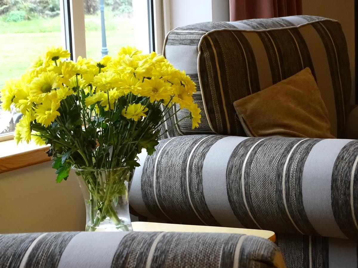 Pinewood Lodge Laragh Bagian luar foto