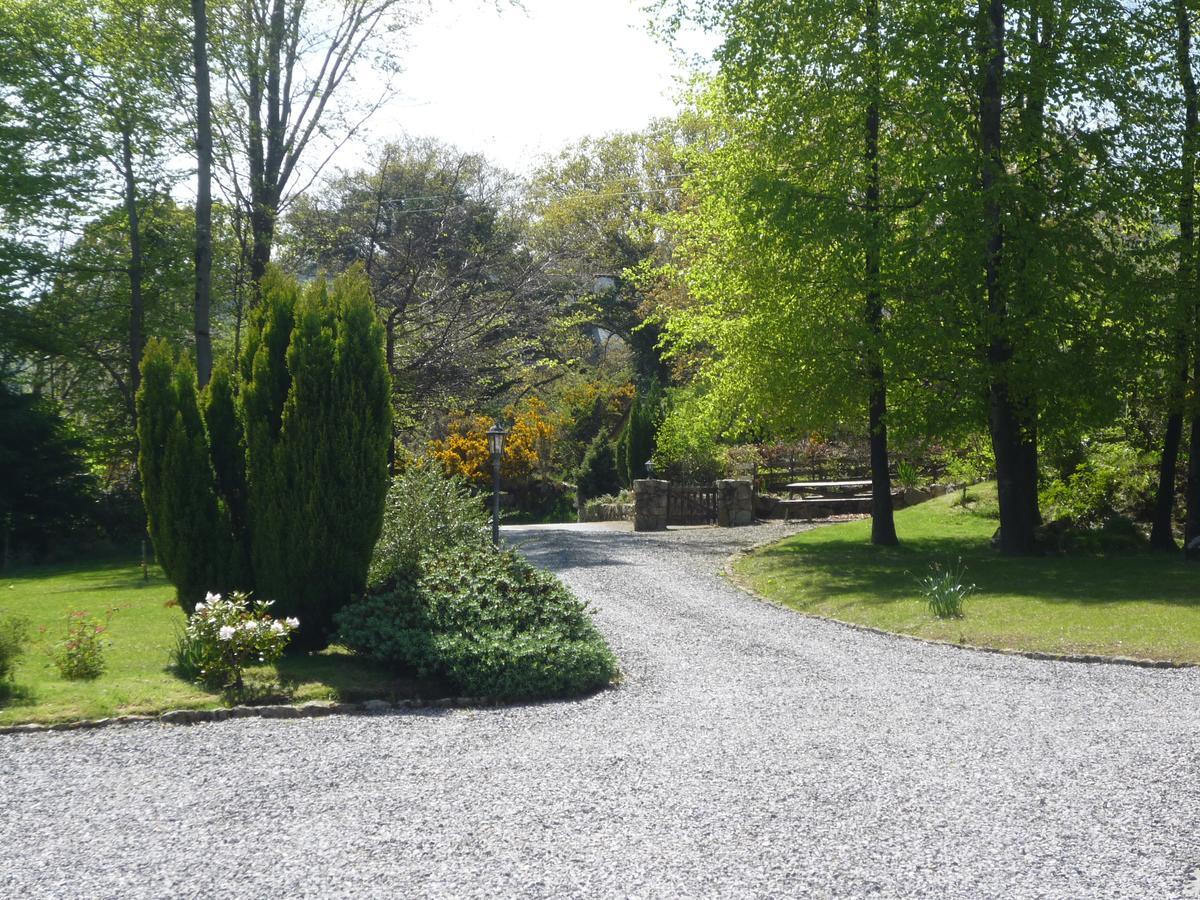 Pinewood Lodge Laragh Bagian luar foto